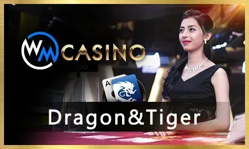 Nustar Casino Gaming Floor